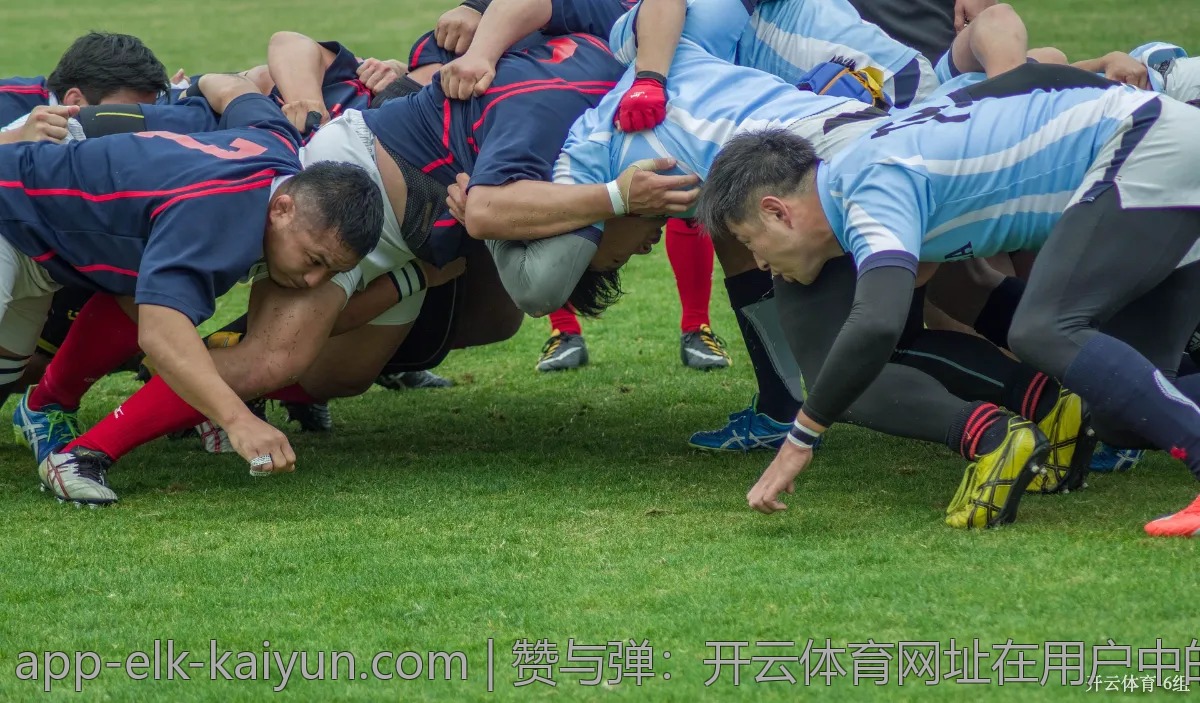 赞与弹：开云体育网址在用户中的口碑探讨