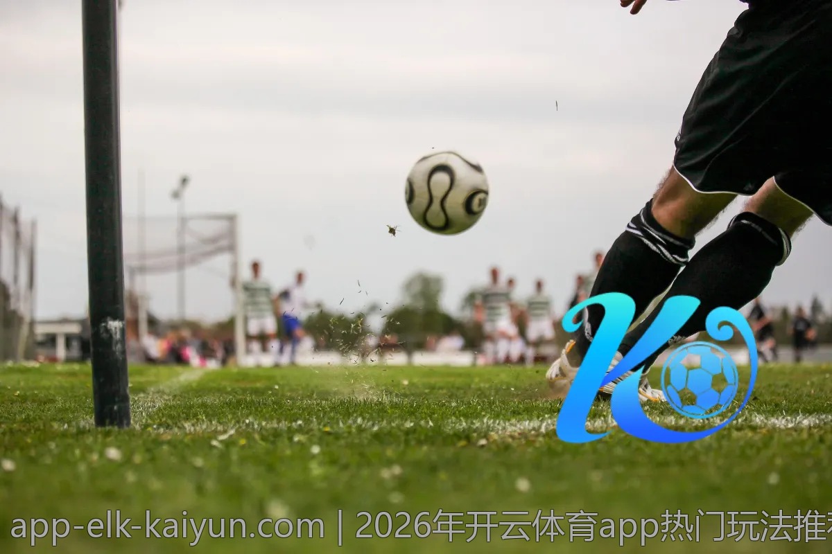 2026年开云体育app热门玩法推荐
